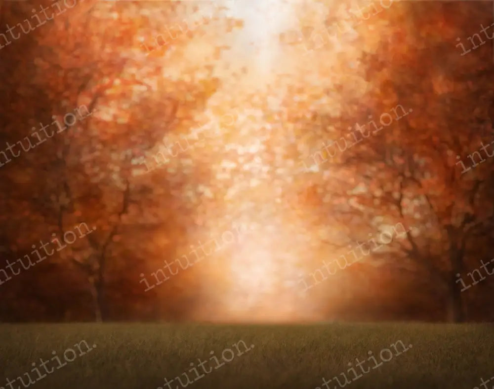 Autumn Trees Backdrop