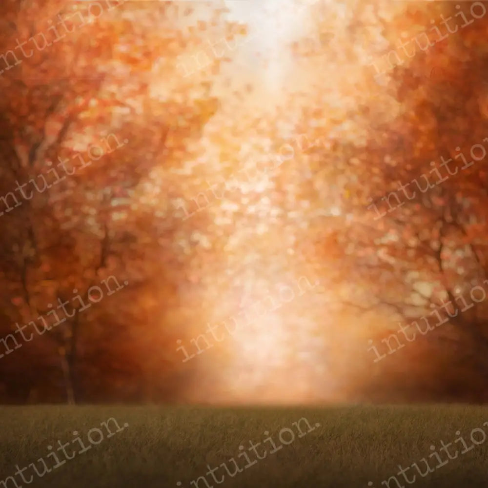 Autumn Trees Horizontal / Poly 60X44 Backdrop