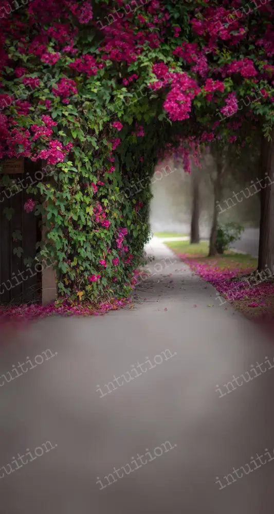 Bougainvillea Backdrop