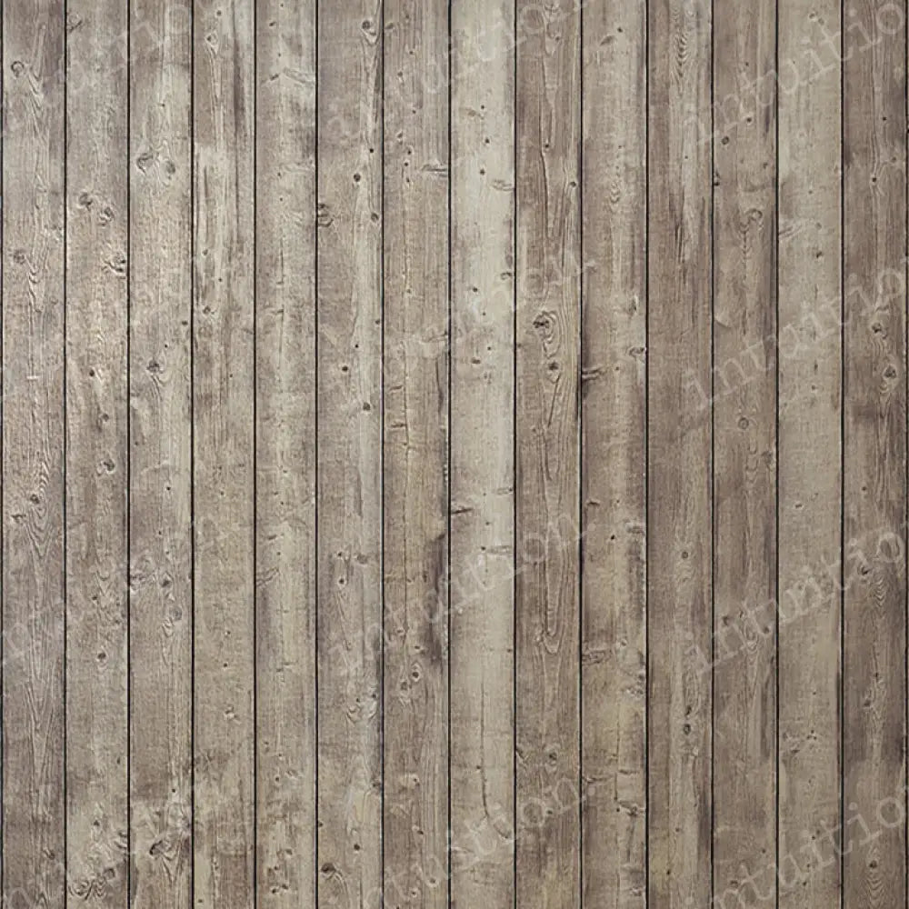 Colton Poly / 60X44 Backdrop