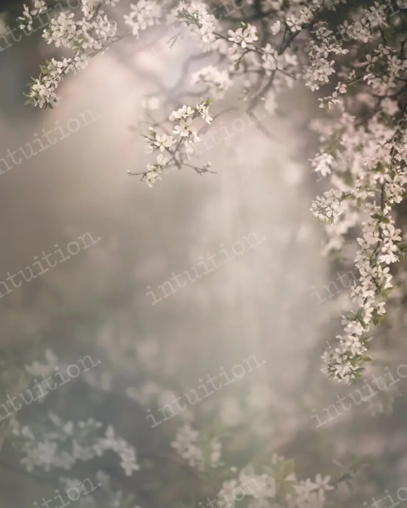 Dogwood Bloom Vertical / Fabric 8X12 Backdrop