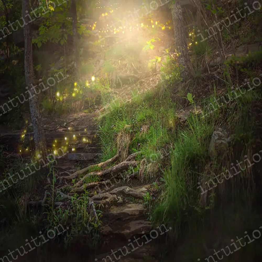 Enchanted Forest Horizontal / Poly 60X44 Backdrop