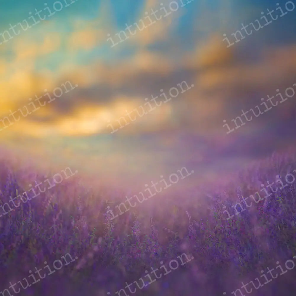 Fields Of Lavender Horizontal / Poly 60X44 Backdrop