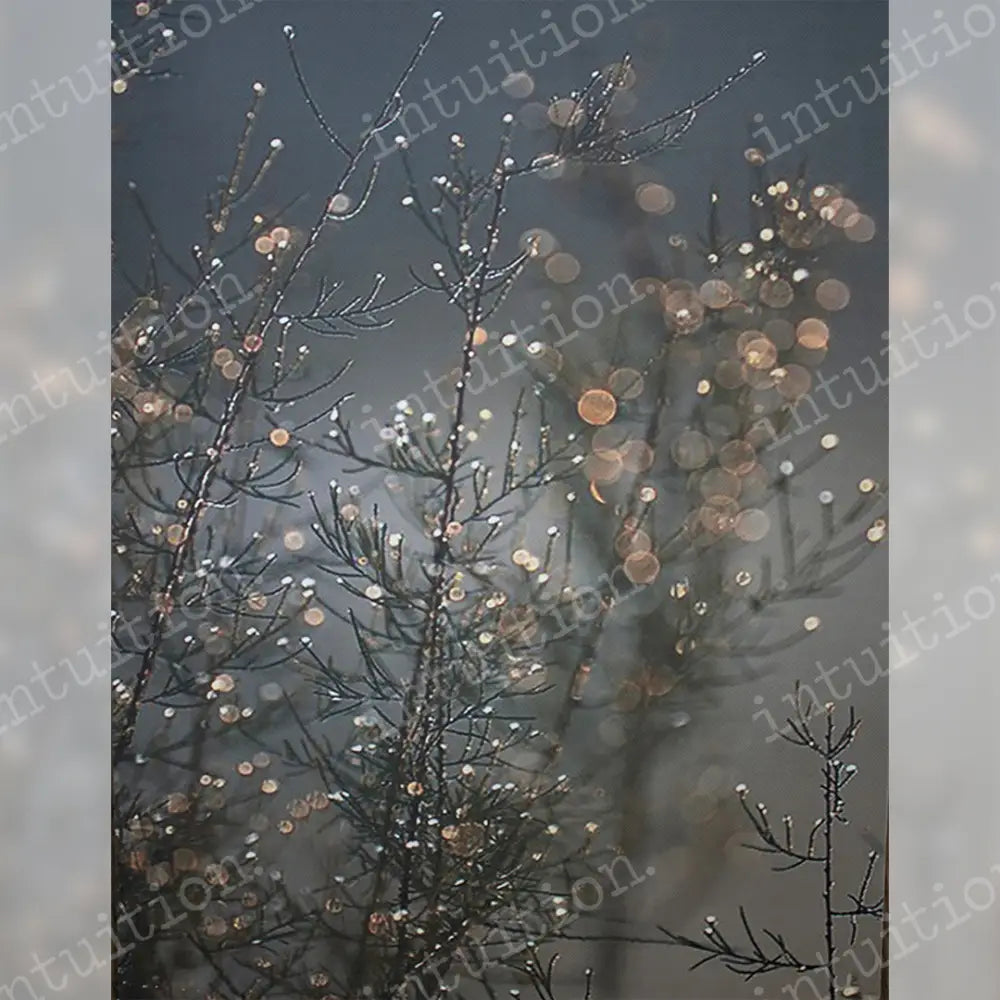 Holiday Frost Vertical / Canvas 7X9 Backdrop