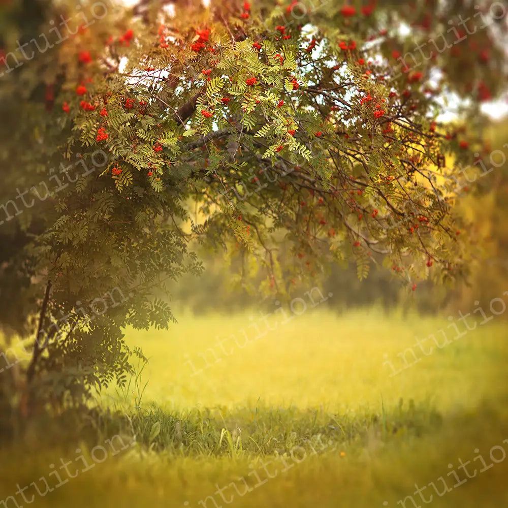 Mellow Days Horizontal / Poly 60X44 Backdrop