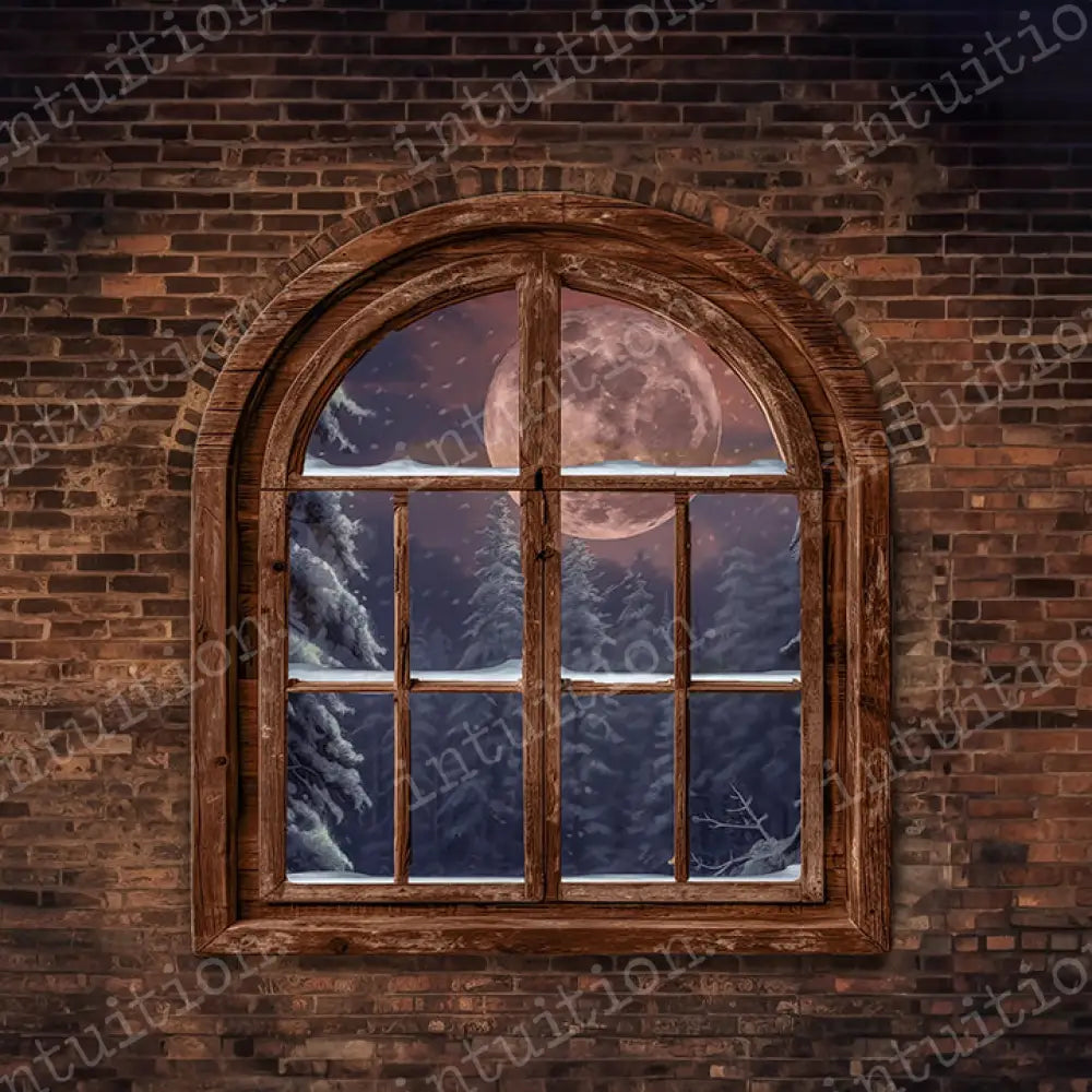 Mos-Window No Santa Horizontal / Canvas 10X8 Backdrop