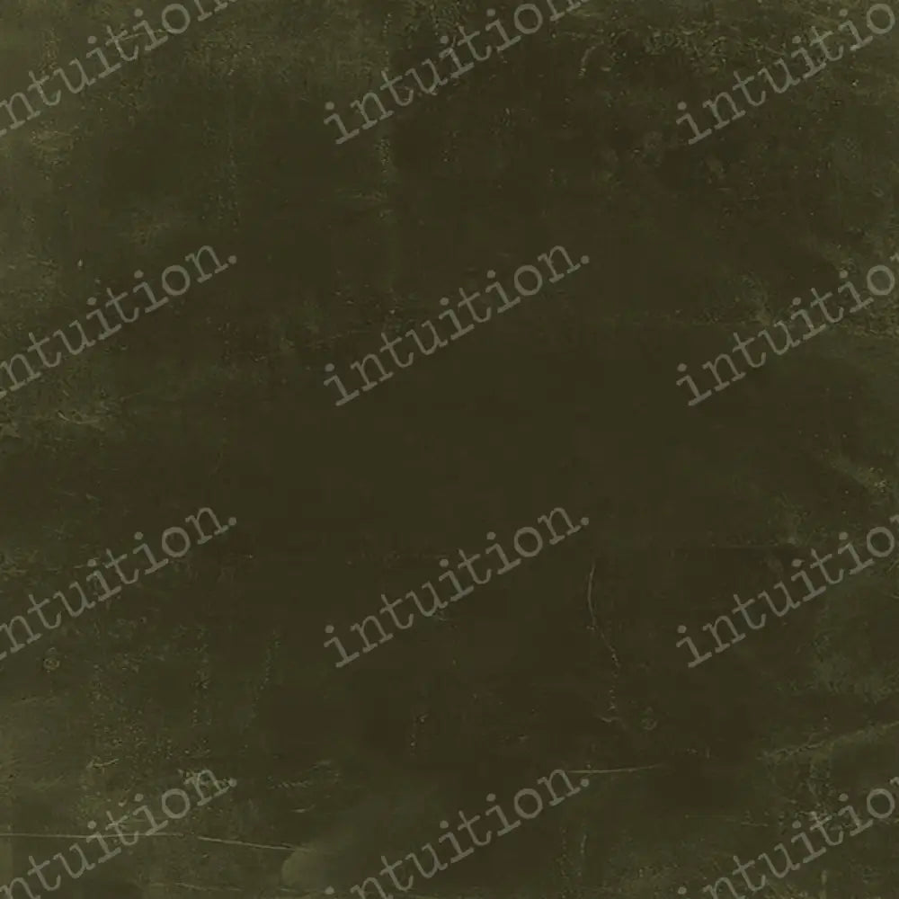 Olive Green - By Julia V Horizontal / Poly 60X44 Backdrop