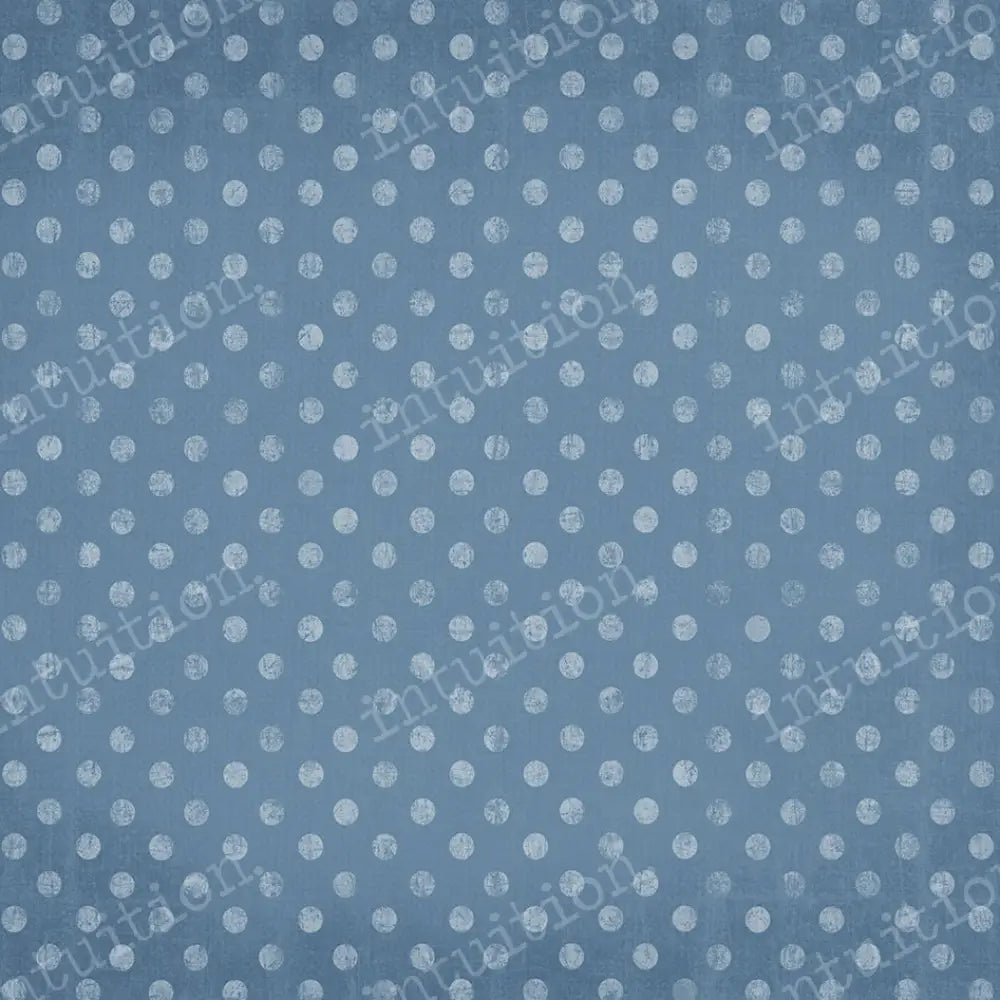 Perfectly Polka Dot - Denim Horizontal / Poly 60X44 Backdrop