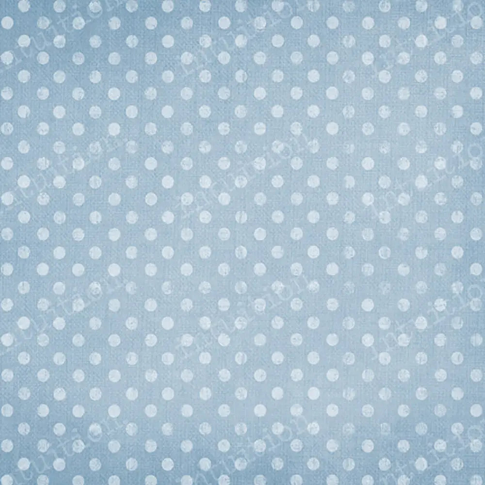 Perfectly Polka Dot - Frost Horizontal / Poly 60X44 Backdrop