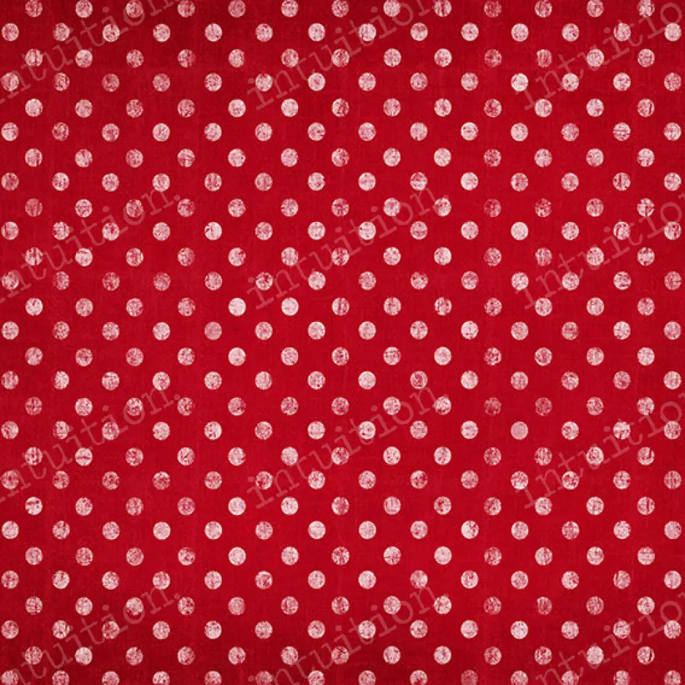 Perfectly Polka Dot - Red Horizontal / Poly 60X44 Backdrop