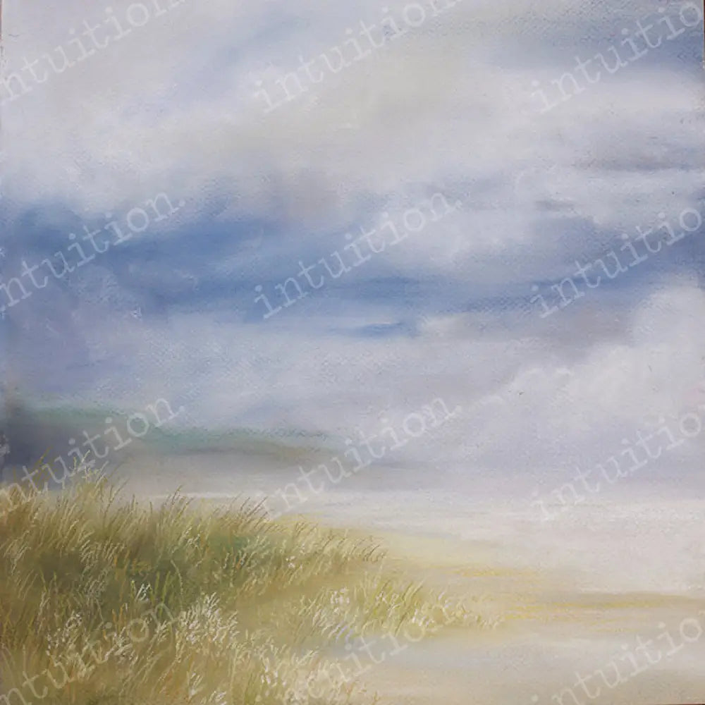 Seashore Poly / 60X44 Backdrop