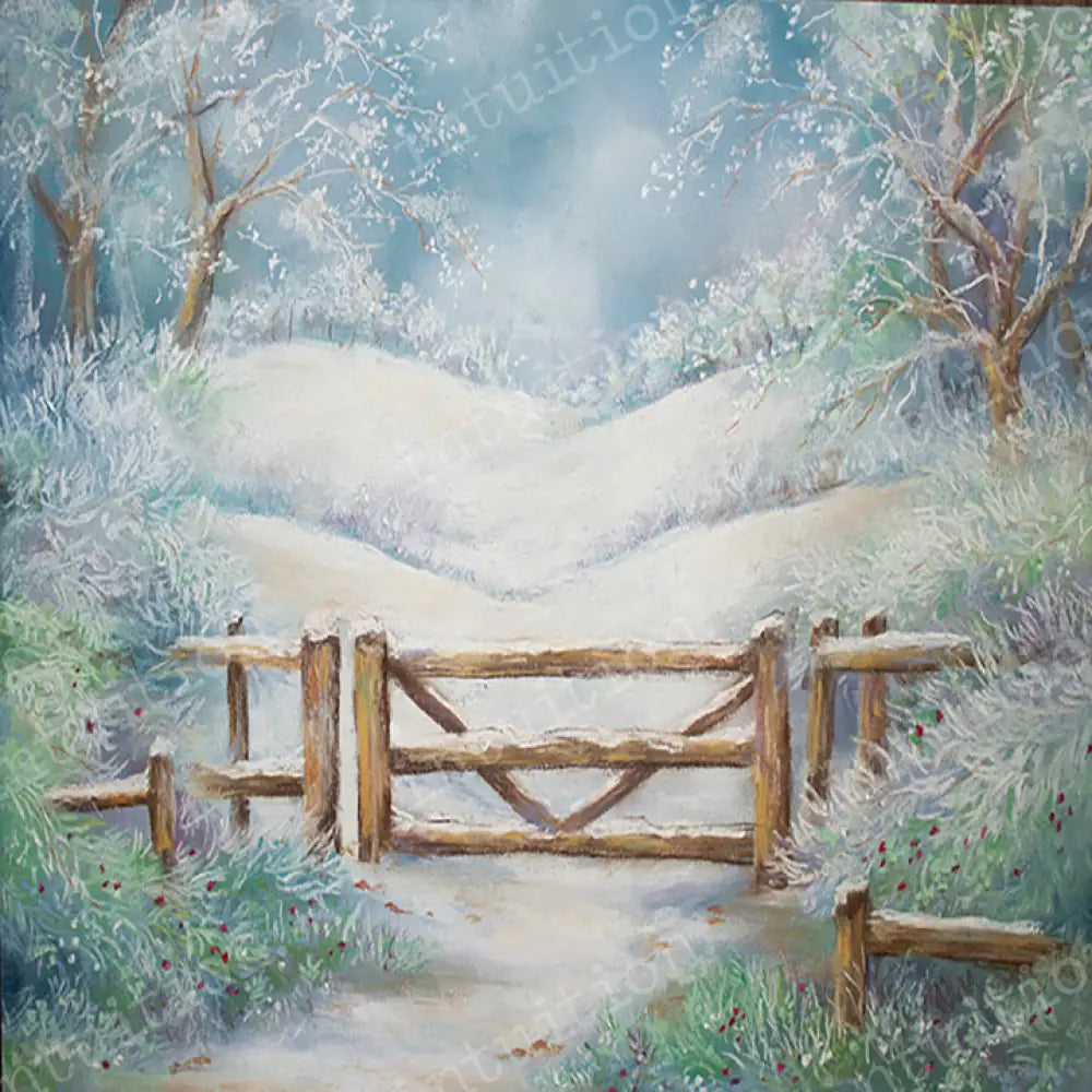 Snowy Field Horizontal / Poly 60X44 Backdrop