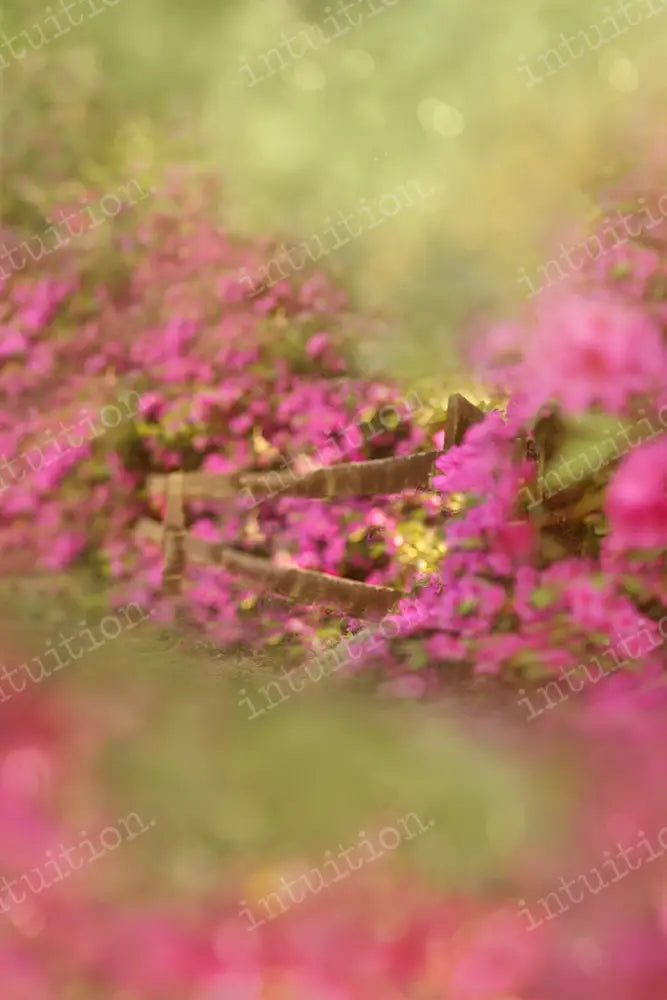 Southern Garden Backdrop