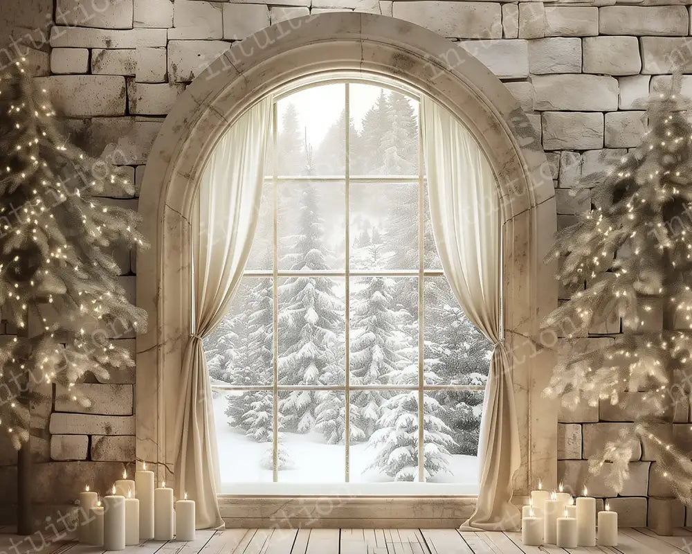 Winter Window Backdrop