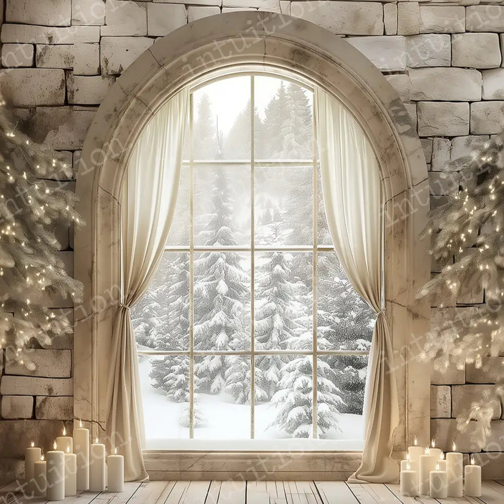 Winter Window Horizontal / Poly 60X44 Backdrop